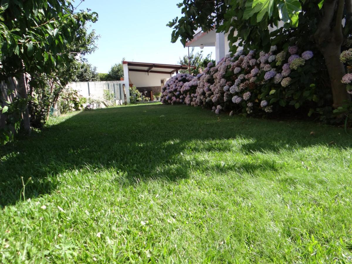 Ribeiro'S House Villa Gafanha da Nazare Exterior photo
